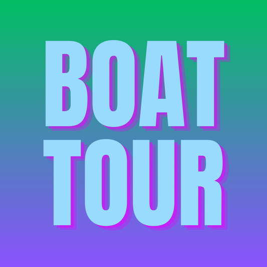 Boat Tour and Silent Disco